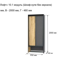 Шкаф купе без зеркала "Ольга-Лофт 10.1" | фото 3