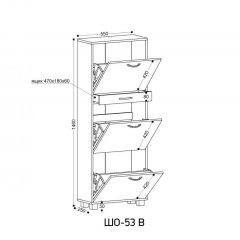 ШО-53 В тумба для обуви | фото 2