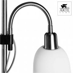 Торшер с подсветкой Arte Lamp Duetto A9569PN-2SS | фото 5