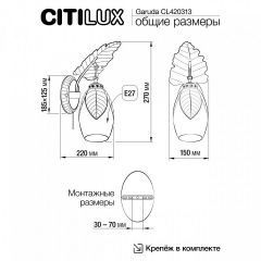 Бра Citilux Garuda CL420313 | фото 5